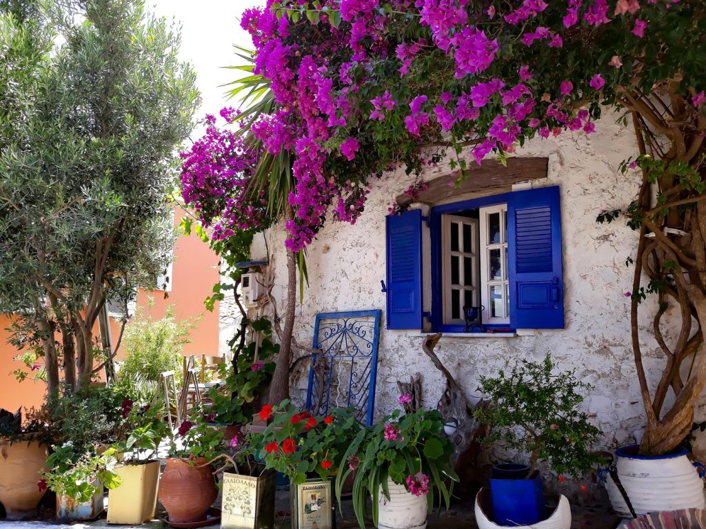 Grèce - Verdure et fleurs devant une maison aux volets bleus