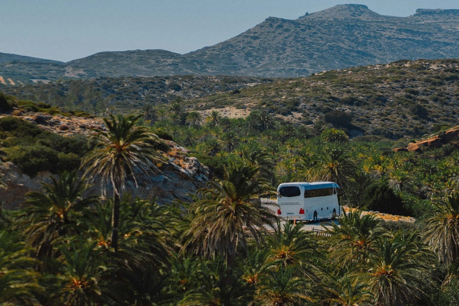 eugene-chystiakov-6jbQ3RKiTRA-unsplash (2)